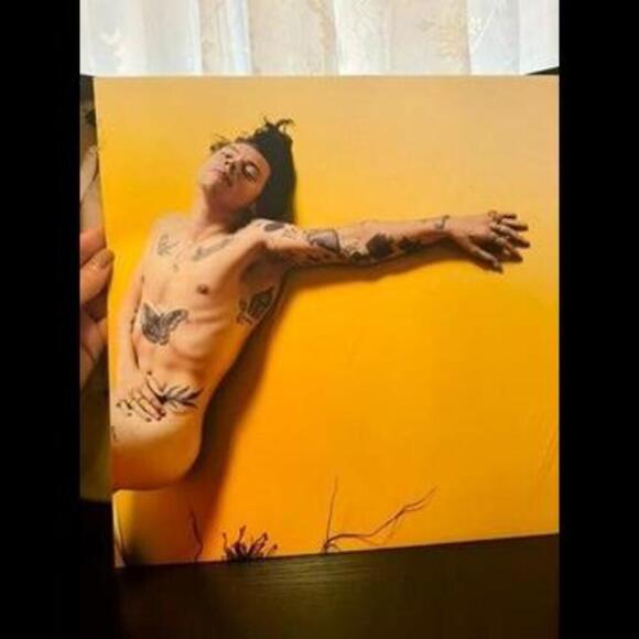 Harry Styles Iconic Music Artist's Vinyl Record with poster - Picture 4 of 4